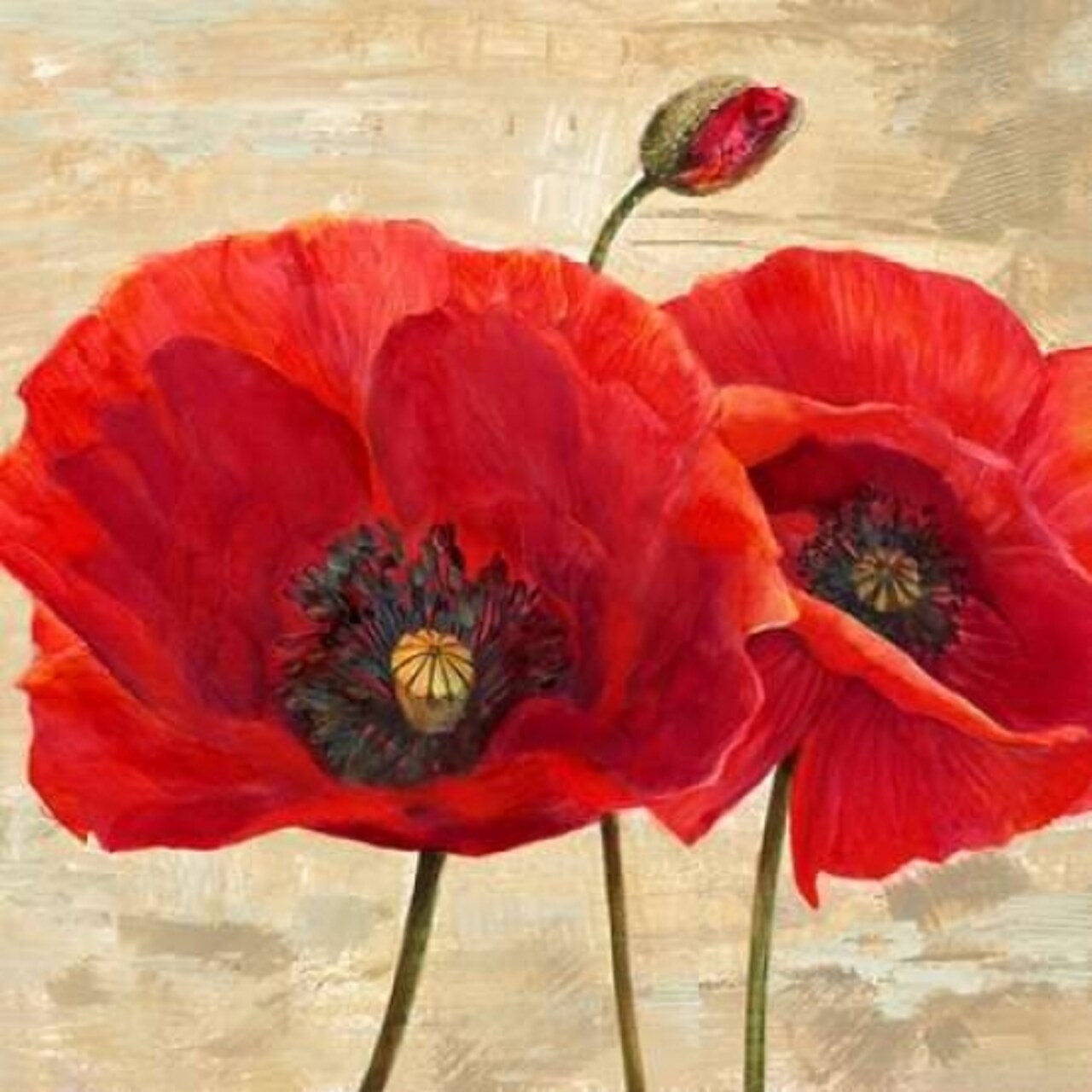 Red Poppies Poster Print by Cynthia Ann - Item # VARPDX1AN3420